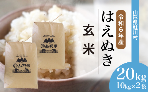 ＜令和6年産米＞令和7年8月下旬発送　はえぬき 【玄米】 20kg （10kg×2袋） 鮭川村