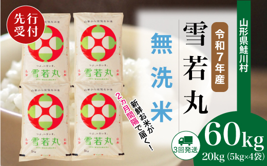 ＜令和7年産米先行受付＞ 令和7年11月上旬より配送開始 雪若丸【無洗米】60kg定期便(20kg×3回)　鮭川村