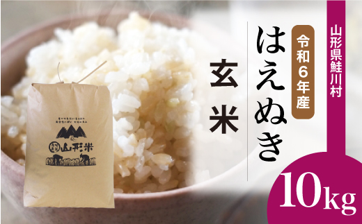 ＜令和6年産米＞令和7年2月中旬発送　はえぬき 【玄米】 10kg （10kg×1袋） 鮭川村