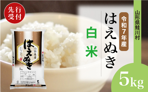 ＜令和7年産米先行受付＞ 令和7年12月上旬発送　はえぬき 【白米】 5kg （5kg×1袋） 鮭川村