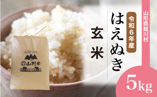 ＜令和6年産米＞令和7年1月下旬発送　はえぬき 【玄米】 5kg （5kg×1袋） 鮭川村