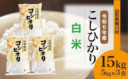 ＜令和6年産米＞令和7年2月下旬発送　コシヒカリ 【白米】 15kg （5kg×3袋） 鮭川村