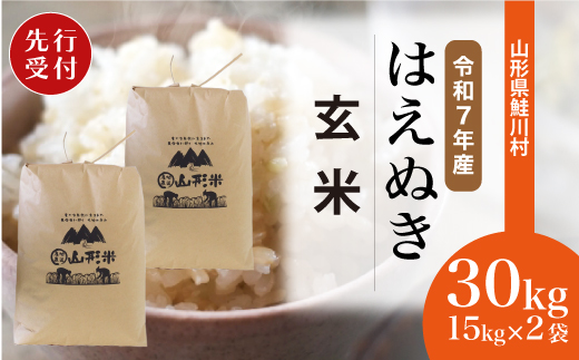 ＜令和7年産米先行受付＞ 令和7年12月上旬発送　はえぬき 【玄米】 30kg （15kg×2袋） 沖縄県・離島配送不可  鮭川村