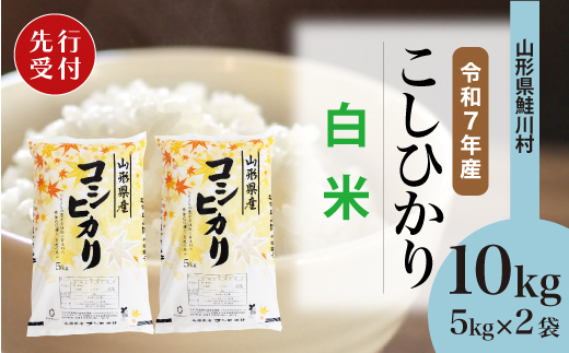 ＜令和7年産米先行受付＞ 令和7年11月中旬発送　こしひかり 【白米】 10kg （5kg×2袋） 鮭川村