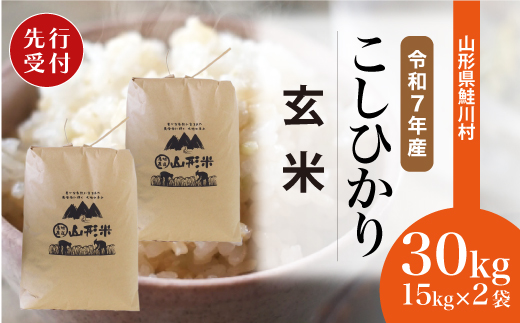 ＜令和7年産米先行受付＞ 令和7年11月上旬発送　こしひかり 【玄米】 30kg （15kg×2袋） 沖縄県・離島配送不可  鮭川村