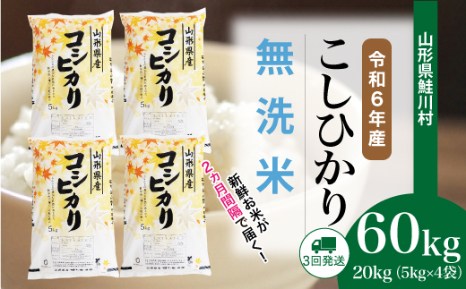 ＜令和6年産米＞ 令和7年3月中旬より配送開始 コシヒカリ【無洗米】60kg定期便(20kg×3回)　鮭川村