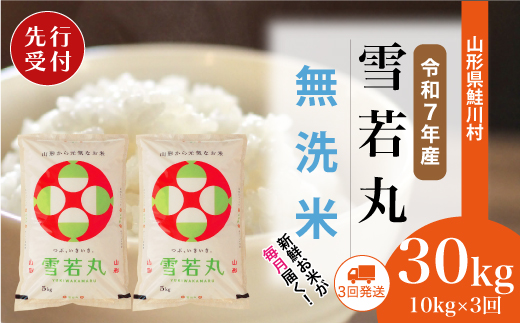 ＜令和7年産米先行受付＞ 令和7年12月下旬より配送開始 雪若丸【無洗米】30kg定期便 (10kg×3回)　鮭川村