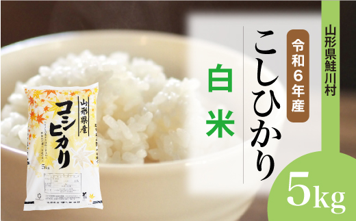 ＜令和6年産米＞令和6年12月上旬発送　コシヒカリ 【白米】 5kg （5kg×1袋） 鮭川村