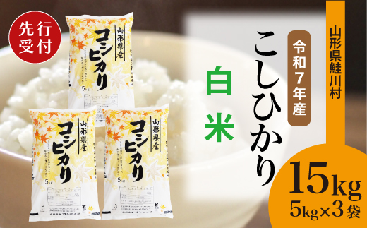 ＜令和7年産米先行受付＞ 令和8年1月下旬発送　こしひかり 【白米】 15kg （5kg×3袋） 鮭川村