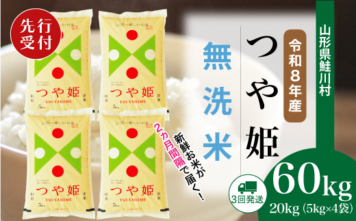 ＜令和8年産米先行受付＞ 令和8年12月上旬より配送開始 特別栽培米 つや姫【無洗米】60kg定期便(20kg×3回)　鮭川村