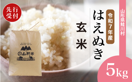 ＜令和7年産米先行受付＞ 令和8年1月下旬発送　はえぬき 【玄米】 5kg （5kg×1袋） 鮭川村