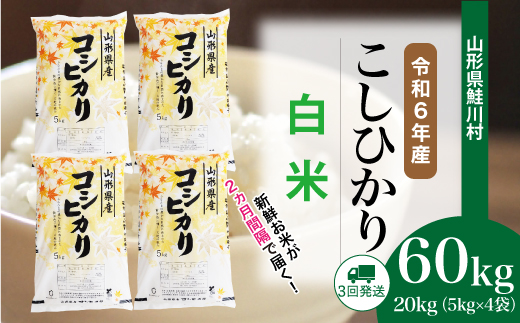 ＜令和6年産米＞ 約2週間でお届け開始　コシヒカリ【白米】60kg定期便(20kg×3回)　鮭川村