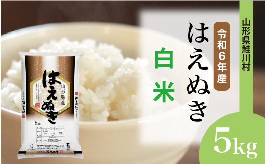 ＜令和6年産米＞令和7年7月下旬発送　はえぬき 【白米】 5kg （5kg×1袋） 鮭川村