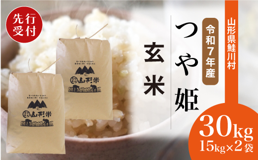 ＜令和7年産米先行受付＞ 令和8年2月下旬発送　特別栽培米 つや姫 【玄米】 30kg （15kg×2袋） 沖縄県・離島配送不可  鮭川村
