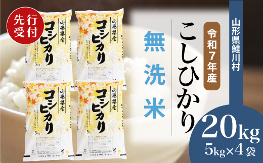 ＜令和7年産米先行受付＞ 令和8年1月下旬発送　こしひかり 【無洗米】 20kg （5kg×4袋） 鮭川村