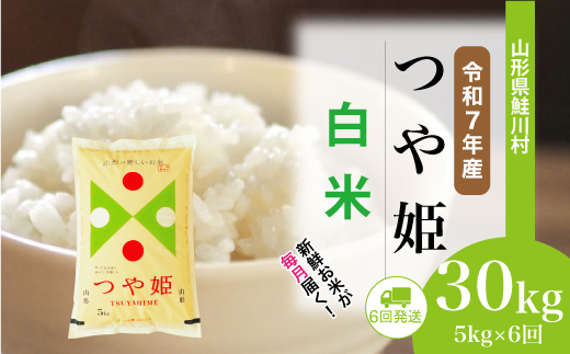 ＜令和7年産米＞ 令和8年2月下旬より配送開始 特別栽培米 つや姫【白米】30kg定期便 (5kg×6回)　鮭川村