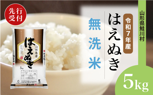 ＜令和7年産米先行受付＞ 令和8年1月下旬発送　はえぬき 【無洗米】 5kg （5kg×1袋） 鮭川村