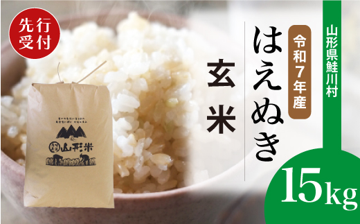 ＜令和7年産米先行受付＞ 令和7年12月上旬発送　はえぬき 【玄米】 15kg （15kg×1袋） 鮭川村