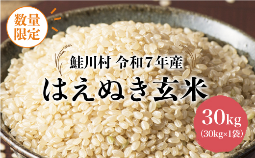 ◇数量限定◇ 令和8年6月中旬発送 ＜令和7年産＞ はえぬき 【玄米】 30kg （30kg×1袋） 沖縄県・離島配送不可　鮭川村
