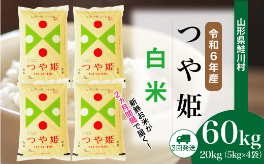 ＜令和6年産米＞ 約2週間でお届け開始　特別栽培米 つや姫【白米】60kg定期便(20kg×3回)　鮭川村