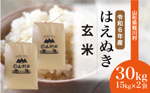 ＜令和6年産米＞令和7年3月中旬発送　はえぬき 【玄米】 30kg （15kg×2袋） 沖縄県・離島配送不可  鮭川村