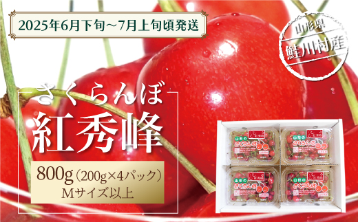 【令和7年産 早期受付】 鮭川村産さくらんぼ ＜紅秀峰＞ フードパック800g（200g×4P）