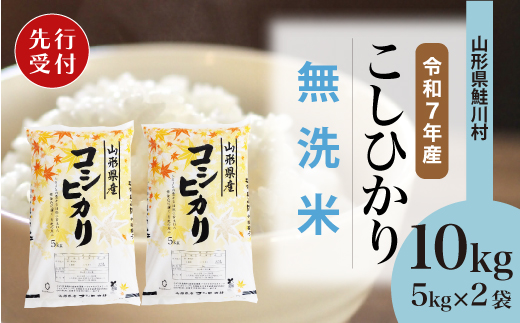 ＜令和7年産米先行受付＞ 令和8年2月下旬発送　こしひかり 【無洗米】 10kg （5kg×2袋） 鮭川村