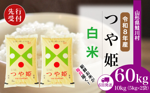 ＜令和8年産米先行受付＞ 令和8年11月下旬より配送開始 特別栽培米 つや姫【白米】60kg定期便(10kg×6回)　鮭川村