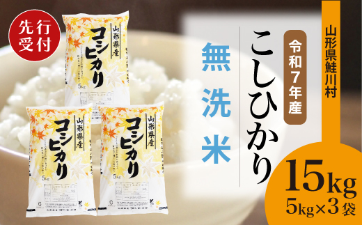 ＜令和7年産米先行受付＞ 令和8年1月上旬発送　こしひかり 【無洗米】 15kg （5kg×3袋） 鮭川村