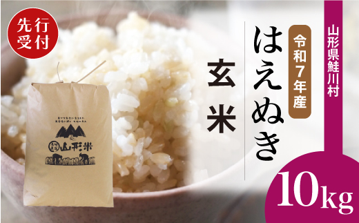 ＜令和7年産米先行受付＞ 令和7年11月上旬発送　はえぬき 【玄米】 10kg （10kg×1袋） 鮭川村