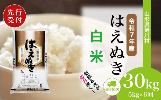 ＜令和7年産米先行受付＞ 令和7年12月下旬より配送開始 はえぬき【白米】30kg定期便 (5kg×6回)　鮭川村