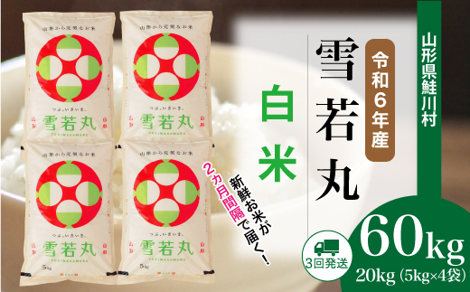 ＜令和6年産米＞ 約2週間でお届け開始　雪若丸【白米】60kg定期便(20kg×3回)　鮭川村