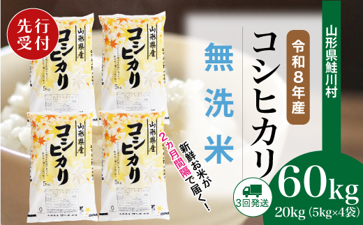 ＜令和8年産米先行受付＞ 令和9年4月下旬より配送開始 こしひかり【無洗米】60kg定期便(20kg×3回)　鮭川村