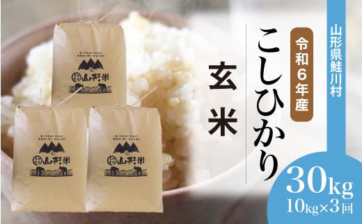 ＜令和6年産米＞ 令和7年2月上旬より配送開始 コシヒカリ【玄米】30kg 定期便 (10kg×3回) 鮭川村