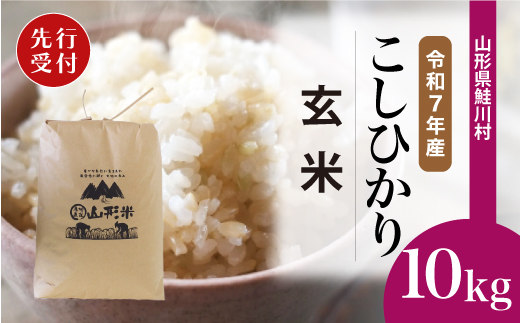 ＜令和7年産米先行受付＞ 令和8年1月中旬発送　こしひかり 【玄米】 10kg （10kg×1袋） 鮭川村