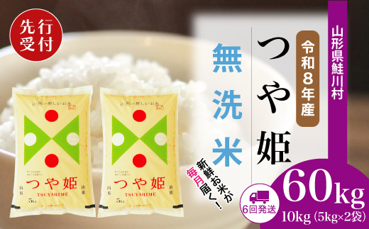 ＜令和8年産米先行受付＞ 令和9年1月中旬より配送開始 特別栽培米 つや姫【無洗米】60kg定期便(10kg×6回)　鮭川村