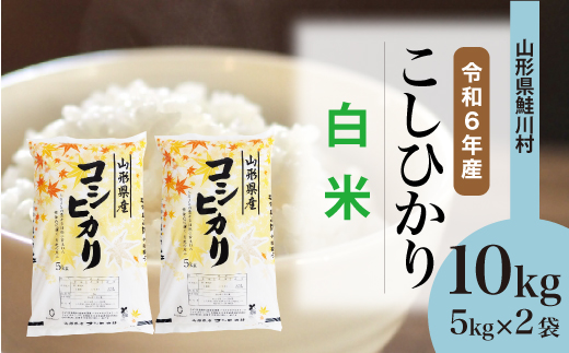 ＜令和6年産米＞令和7年3月上旬発送　コシヒカリ 【白米】 10kg （5kg×2袋） 鮭川村