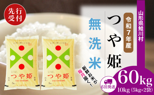 ＜令和7年産米先行受付＞ 令和8年1月中旬より配送開始 特別栽培米 つや姫【無洗米】60kg定期便(10kg×6回)　鮭川村
