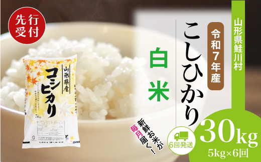 ＜令和7年産米先行受付＞ 令和8年1月上旬より配送開始 こしひかり【白米】30kg定期便 (5kg×6回)　鮭川村