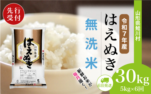 ＜令和7年産米先行受付＞ 令和8年2月中旬より配送開始 はえぬき【無洗米】30kg定期便 (5kg×6回)　鮭川村