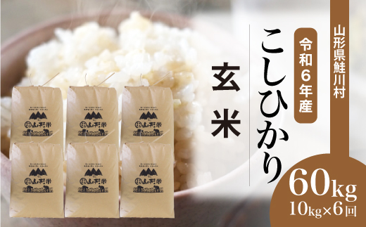 ＜令和6年産米＞ 令和6年12月上旬より配送開始 コシヒカリ【玄米】60kg定期便(10kg×6回)　鮭川村