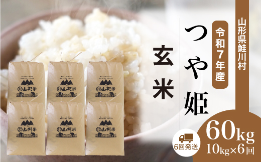＜令和7年産米＞ 令和8年3月上旬より配送開始 特別栽培米 つや姫【玄米】60kg定期便(10kg×6回)　鮭川村