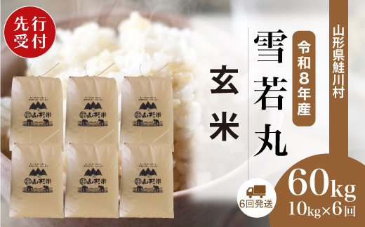 ＜令和8年産米先行受付＞ 令和9年2月下旬より配送開始 雪若丸【玄米】60kg定期便(10kg×6回)　鮭川村