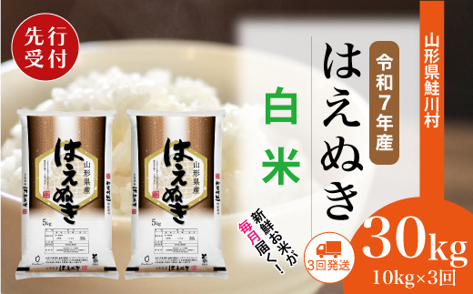 ＜令和7年産米先行受付＞ 令和7年10月上旬より配送開始 はえぬき【白米】30kg定期便 (10kg×3回)　鮭川村