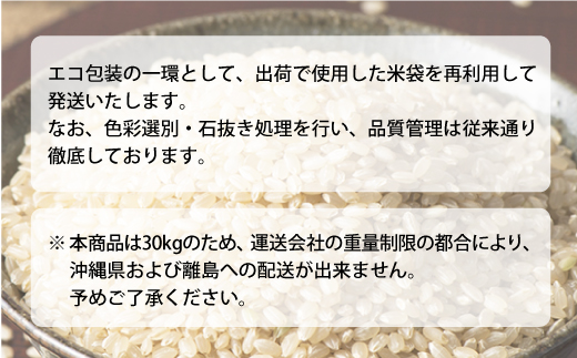 ◇数量限定◇ 令和8年6月下旬発送 ＜令和7年産＞ はえぬき 【玄米】 30kg （30kg×1袋） 沖縄県・離島配送不可　鮭川村