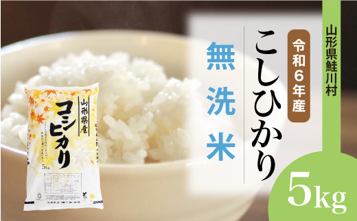 ＜令和6年産米＞令和7年9月中旬発送　コシヒカリ 【無洗米】 5kg （5kg×1袋） 鮭川村