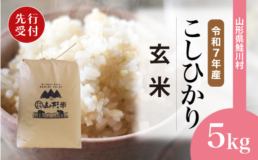 ＜令和7年産米先行受付＞ 令和7年11月中旬発送　こしひかり 【玄米】 5kg （5kg×1袋） 鮭川村