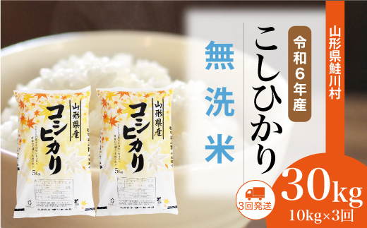 [令和6年産米] 約2週間でお届け開始 コシヒカリ[無洗米]30kg定期便 (10kg×3回) 鮭川村