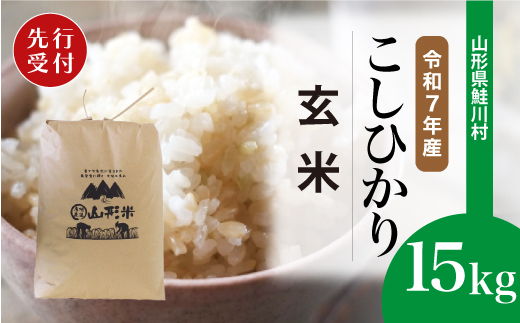 ＜令和7年産米先行受付＞ 令和8年1月中旬発送　こしひかり 【玄米】 15kg （15kg×1袋） 鮭川村