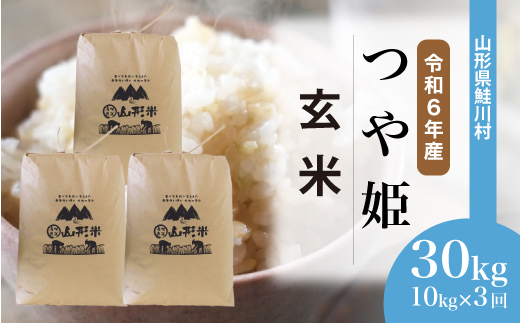 [令和6年産米] 約2週間でお届け開始 特別栽培米 つや姫[玄米]30kg 定期便 (10kg×3回) 鮭川村